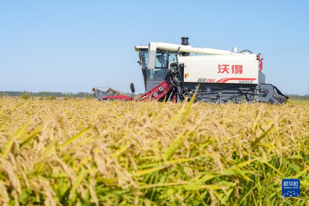 mg游戏试玩体验